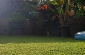 Apartamento de Lujo Cerca de la Playa EL CAMPELLO - Photo 21