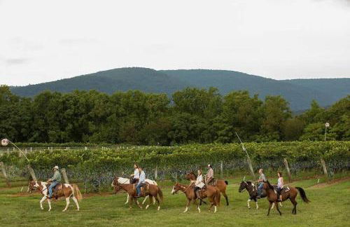 Time to Wine Down - Family Home - Foto 25