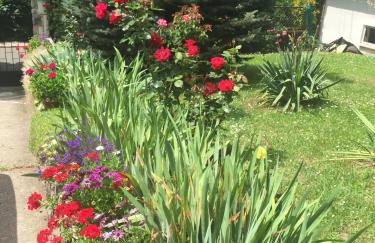 Noclegi pod kasztanem - Foto 35