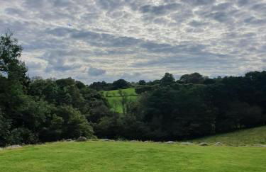 Stunning Barn Conversion with HOT TUB and ALPACAS - Ty Cerrig Barn - Photo 51