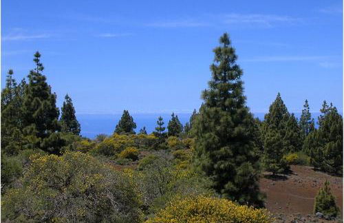 Villa Finca Tijarafe mit beheiztem, abdeckbarem Pool - Foto 49