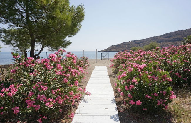 MariRena plaz - Foto 16