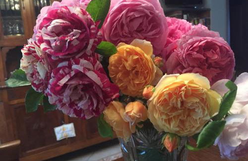 Cà 'd Gnese - Foto 20