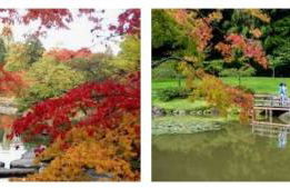 Arboretum Escape - Foto 16