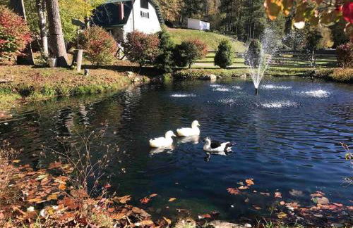 Full Access to our Farm & Petting ZOO + Hot Tub! - Foto 19