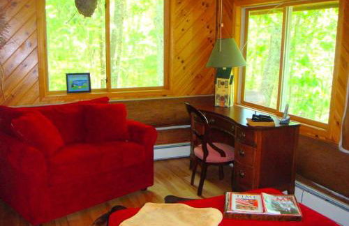 Custom-Built Family Cabin in Manistee National Forest, Michigan - Foto 7