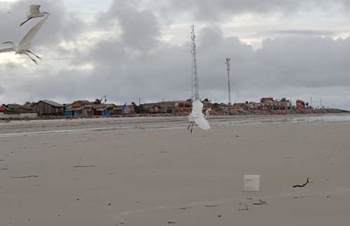 Refúgio dos pires - ajuruteua - Photo 4