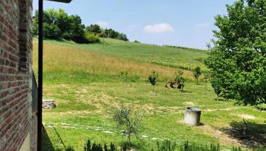 Agriturismo Airale - Foto 3, Garden view