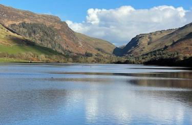 Poets Cottage Eglwys Fach - Foto 32