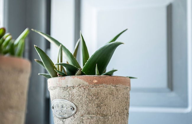 Noelia Suites - Foto 27