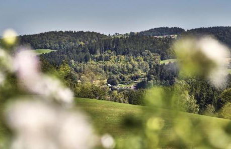 Bio-Ferienhof Höfler - Foto 14