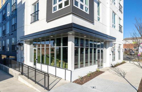 Tiger Lily - Foto 19