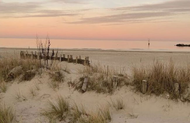 Old Tenne Under Reet in a Single Position - Photo 26