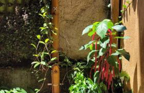 Estrada Real - Foto 39