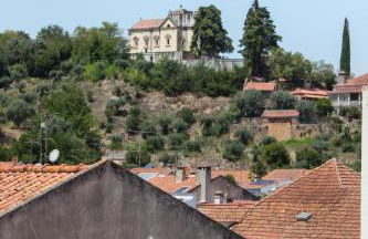 Templar Spot - Foto 18