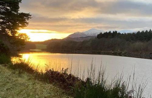 Loch Ness Pods - Foto 22