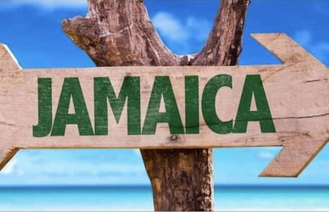 Seacret Studios - Cozy Jamaican Retreat Apts by RedAwning - Photo 9