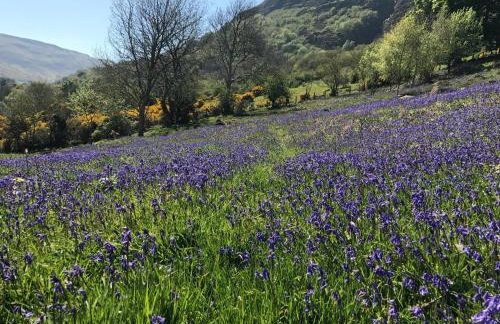 Ballymacdoe Cottage Cushendall - Foto 45