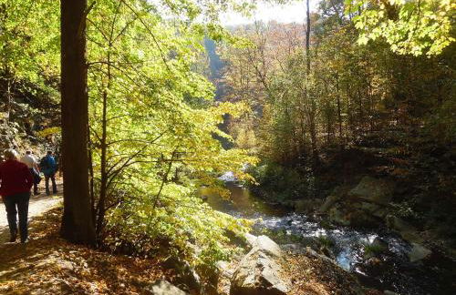 Ferienwohnung Haus Waldeck - Foto 23