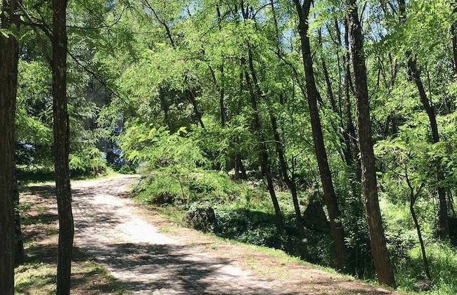 Estancia Grande - Foto 34