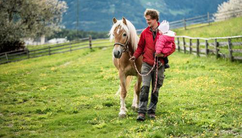 Hatzeshof Heustadel - Foto 2