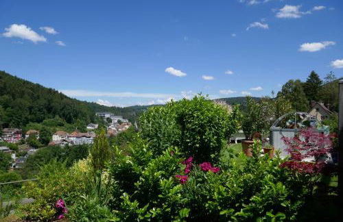 Ferienwohnung Am Wald - Foto 1