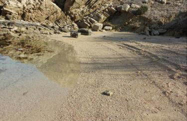 Apartmani Vesna - Photo 18