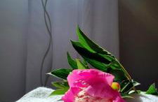 BaLoRo apartment - Foto 9