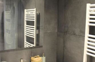 Entire Apartment or Private Rooms, Minutes from Geneva, Excellent Location - Photo 28