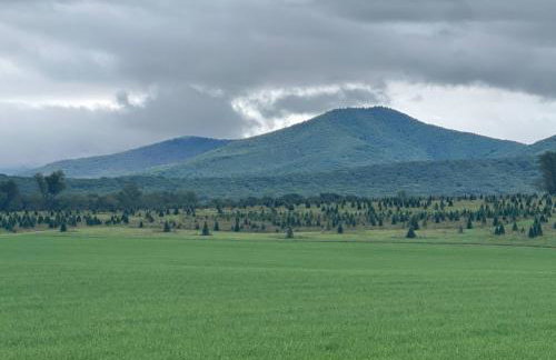 The Firefly Lodge at ShenandoahHot Tub~ View~Pets - Foto 27