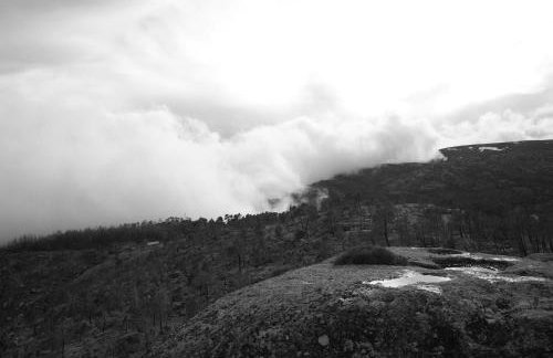 Casa dos Toros - Foto 39