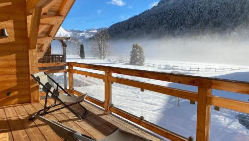 Chalet Crêt Beni - Photo 2, Garden view