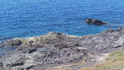 PlayaLasRicas - Foto 5