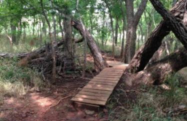 6BR Dream Getaway w Heated Pool & Peaceful Vibe - Photo 37