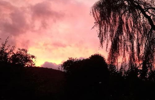 Tan y coed's Rosemary Cabin - Photo 21