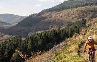 Afan house - Foto 16