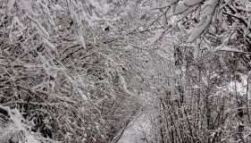 Apartaran 407 con terraza - Foto 5