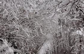 Apartaran 407 con terraza - Foto 5