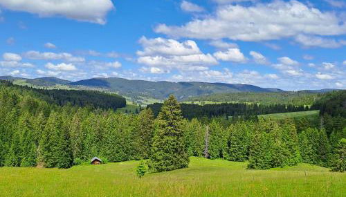 Daheim im Geissetal - Foto 5