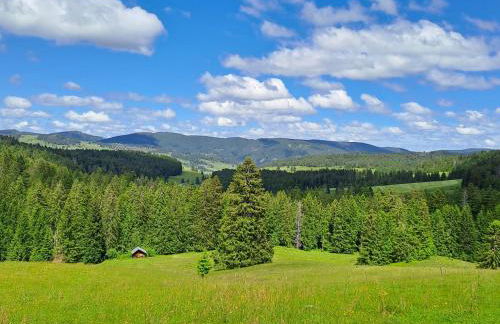 Daheim im Geissetal - Foto 5