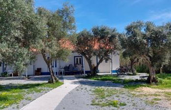 Monte da Masmorra de baixo-Casa Alentejana - Foto 8