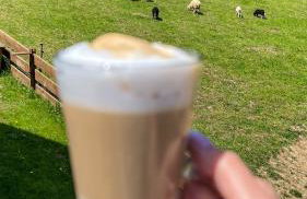 Dom na Zielonym Wzgórzu z własną Sauną i Jacuzzi - Foto 66