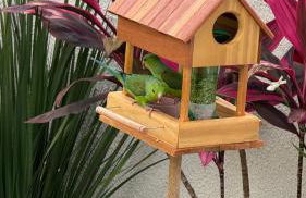 Casa com piscina, 700M da praia - Foto 25