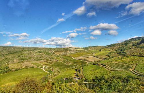 Domaine - Vignoble - Jacuzzi - Sauna - 14 à 18 pers - Foto 26