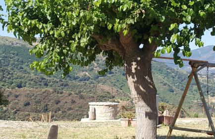 Agriturismo Mama Lina - Foto 35