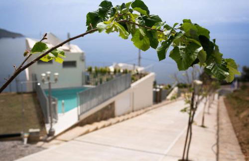 Physis Fokida - Foto 35