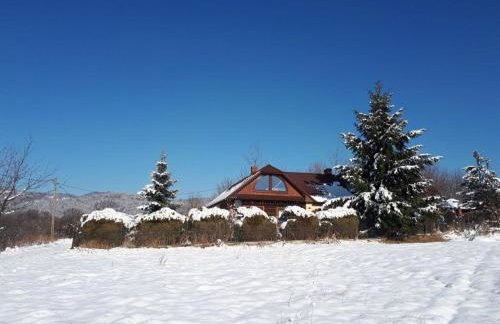 Dom Grabowa z sauną , podgrzewanym basenem i balią z hydromasażem - Foto 41