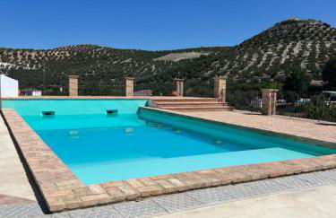 Finca Genilla - Foto 15