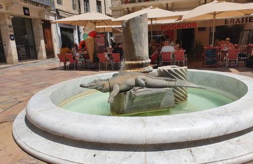 Au cœur du centre historique - Immeuble classé - Terrasse - climatisé - Foto 16