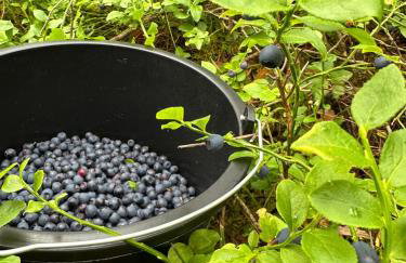 Czarna Chata - Foto 11